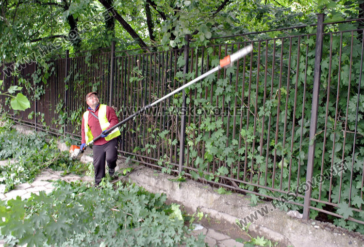 Подрязват саморасляците по тротоара на бул „В. Левски“