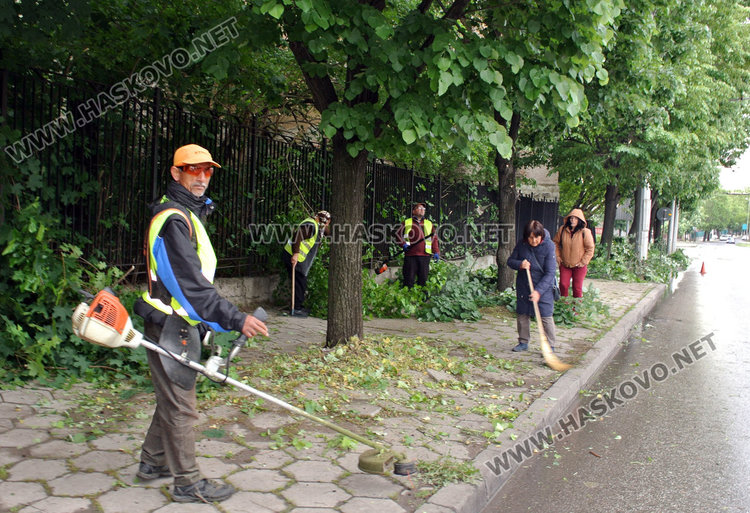 Подрязват саморасляците по тротоара на бул „В. Левски“
