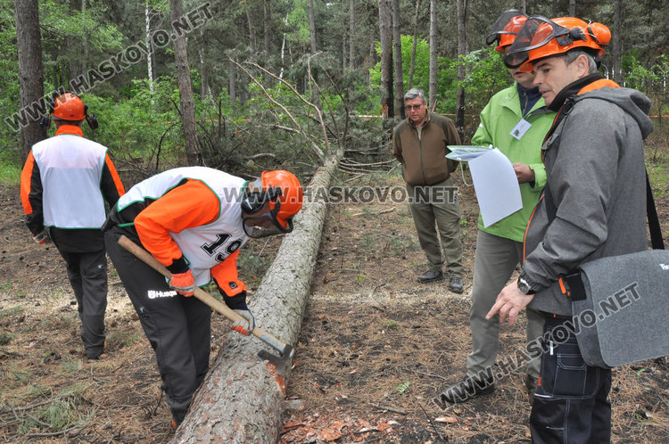 10 отбора стартираха в Горския многобой в парк „Кенана“ /Обновена/
