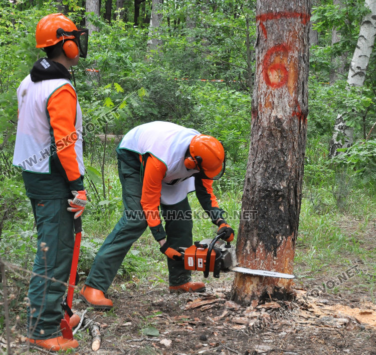 10 отбора стартираха в Горския многобой в парк „Кенана“ /Обновена/