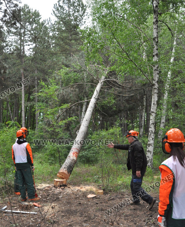 10 отбора стартираха в Горския многобой в парк „Кенана“ /Обновена/