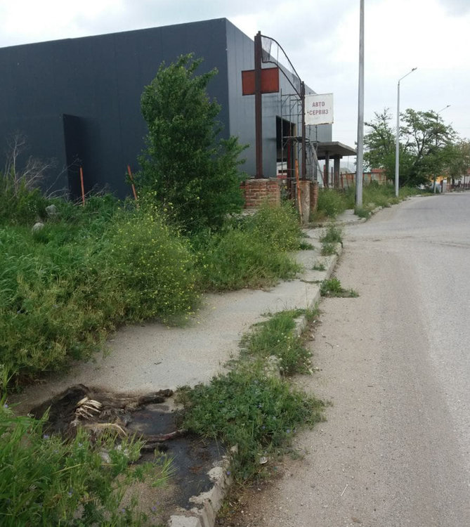 Хасковлийка: Разлагащ се труп на куче разнася воня