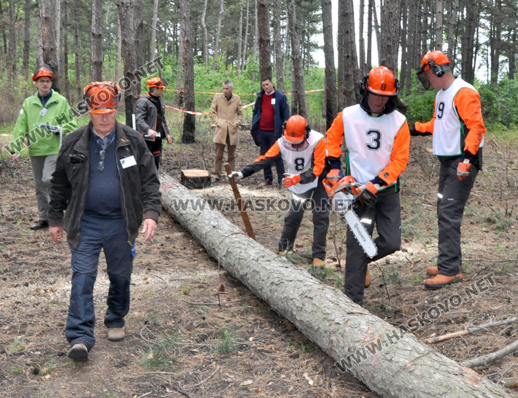 10 отбора стартираха в Горския многобой в парк „Кенана“ /Обновена/