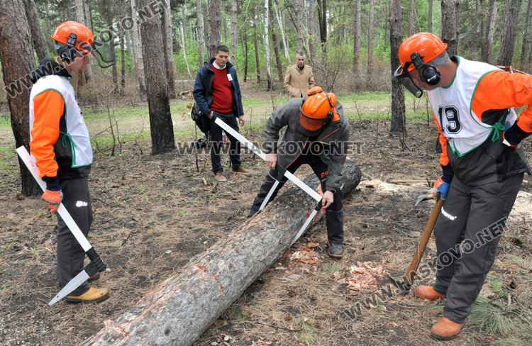 10 отбора стартираха в Горския многобой в парк „Кенана“ /Обновена/