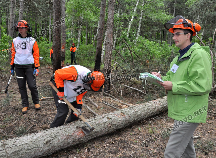 10 отбора стартираха в Горския многобой в парк „Кенана“ /Обновена/