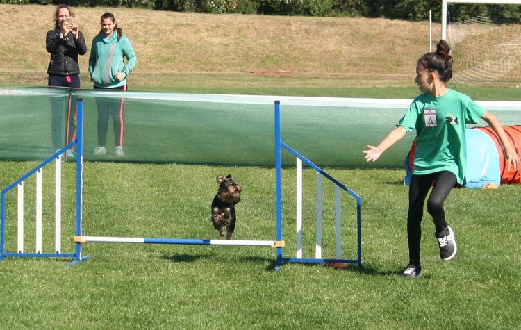 Киноложкото шоу в Първомай започна. Най-малката аджилити състезателка е 9-годишна