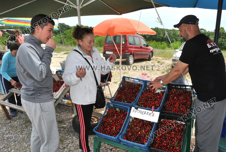Ранните череши са вече на пазара до 8 лв. за кило