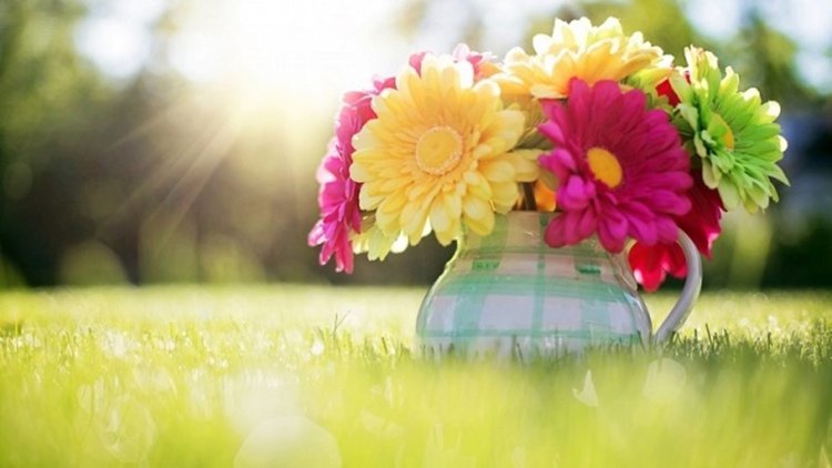 Топло, но облачно време днес