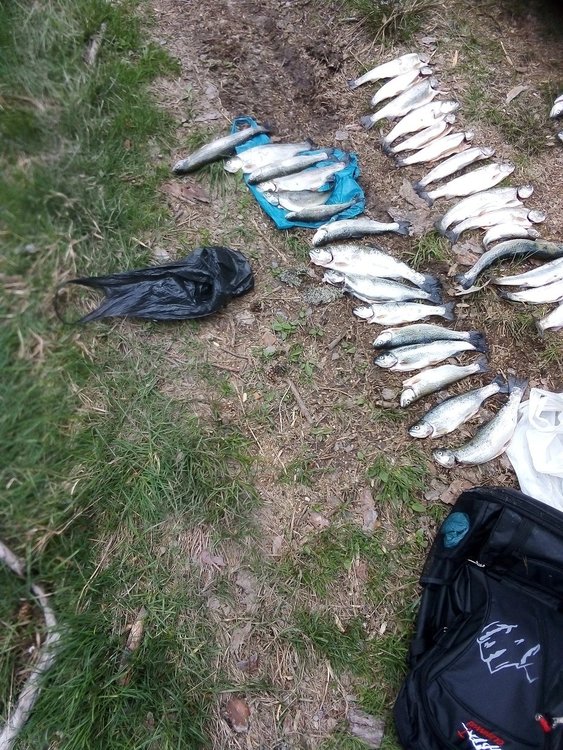 снимка ИАРА