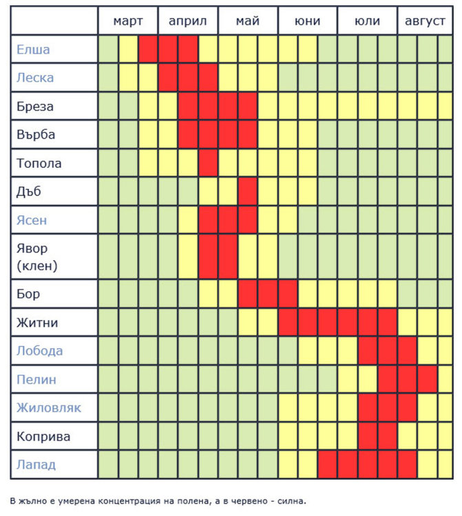 Кога цветният прашец предизвиква алергии 