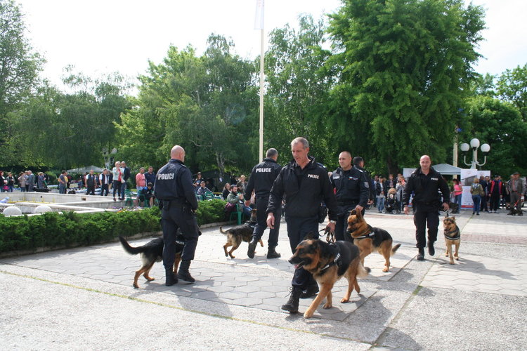 Големият победител в киноложката изложба е 2-годишен мъник