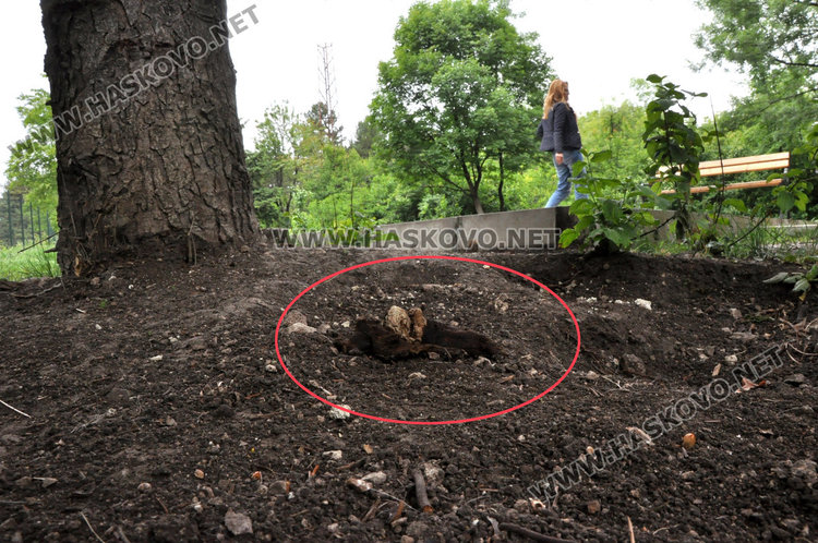 Кучешките площадки в Хасково във фекалии, достъпът проблемен