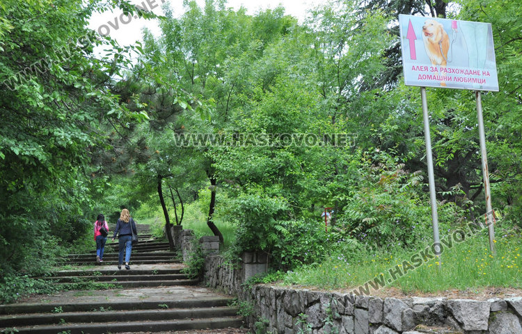 Кучешките площадки в Хасково във фекалии, достъпът проблемен