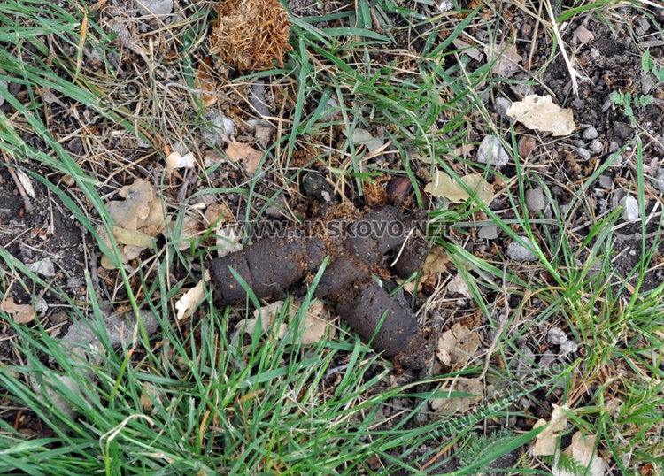 Кучешките площадки в Хасково във фекалии, достъпът проблемен