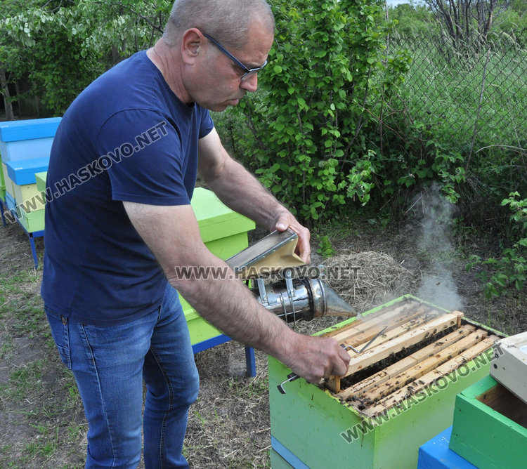 Стопани от Спахиево притеснени за пчелините заради фантомно пръскане от въздуха /видео/