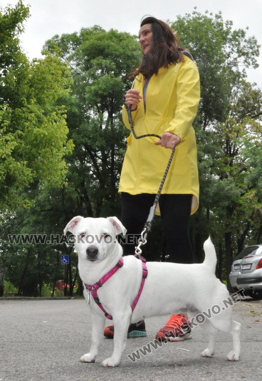 Кучешките площадки в Хасково във фекалии, достъпът проблемен