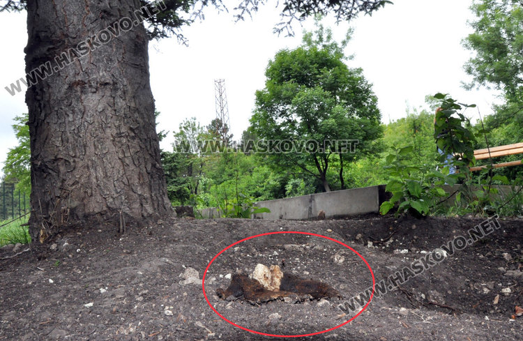 Кучешките площадки в Хасково във фекалии, достъпът проблемен