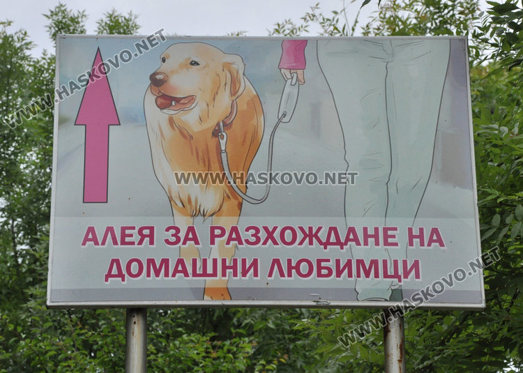 Кучешките площадки в Хасково във фекалии, достъпът проблемен