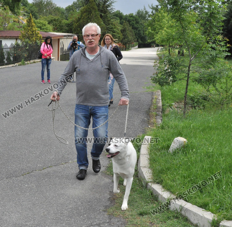 Кучешките площадки в Хасково във фекалии, достъпът проблемен