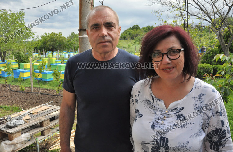 семейство Димови