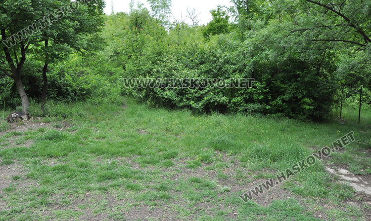 Кучешките площадки в Хасково във фекалии, достъпът проблемен