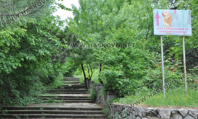 Кучешките площадки в Хасково във фекалии, достъпът проблемен