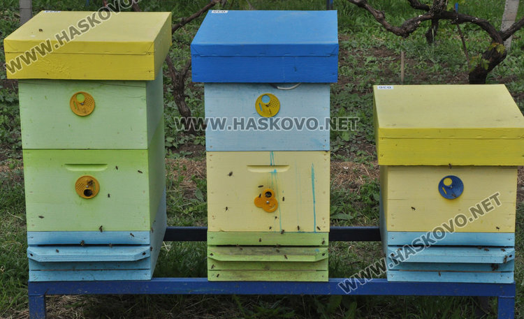 Стопани от Спахиево притеснени за пчелините заради фантомно пръскане от въздуха /видео/