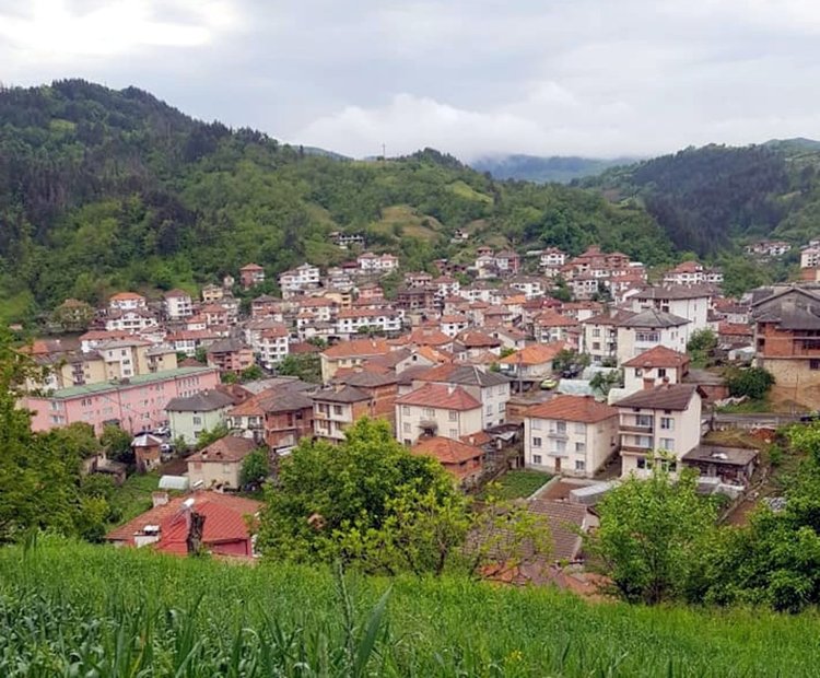 Неделино стартира дарителска кампания за Ивайло и Борислав, близнаците загубиха и двамата си родители