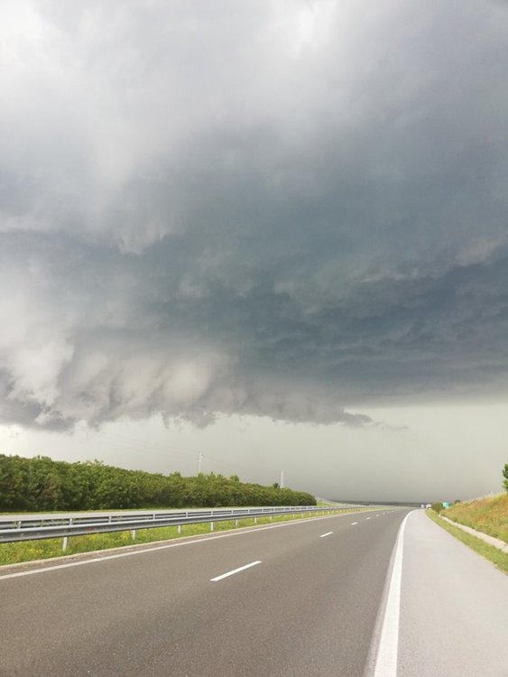 Градушка по магисрала "Тракия", паднали дървета затвориха пътя Нова Загора - Раднево - ВИДЕО