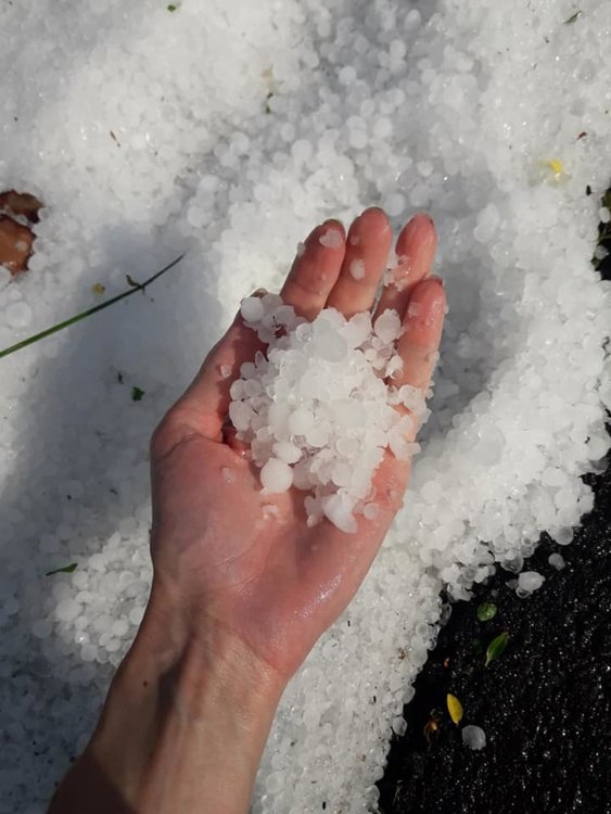 Интензивна градушка унищожи зеленчуковите и овощни насаждения и образува ледена покривка в старозагорското село Осетеново. Фото: Г-ца Петкова