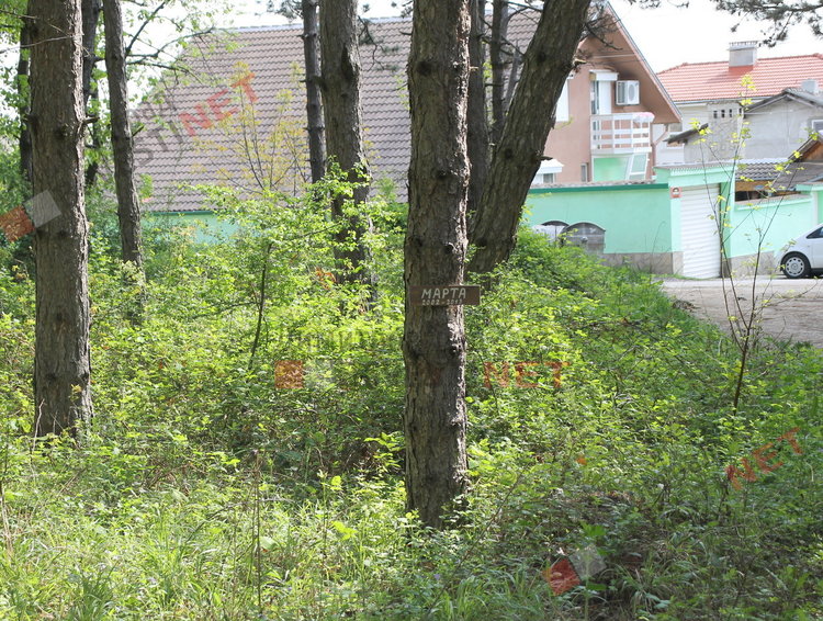 гробове на животни в парк „Пеньо Пенев“ на метри от къщите