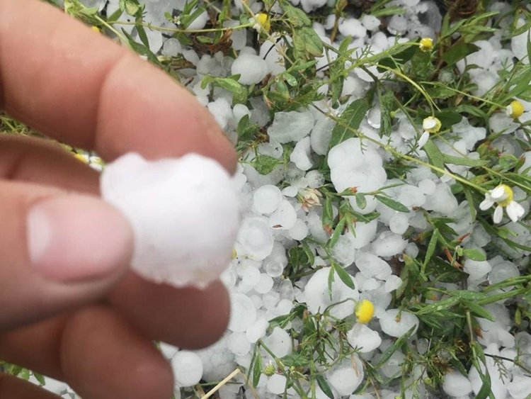  Снимка: Joy Boy Teo