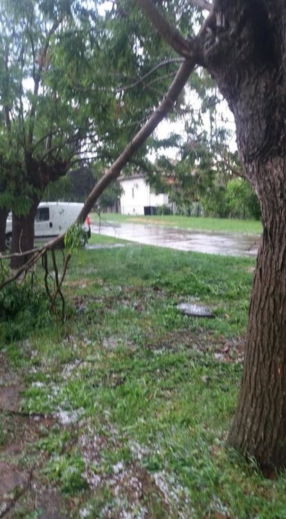 Градушка по магисрала "Тракия", паднали дървета затвориха пътя Нова Загора - Раднево - ВИДЕО