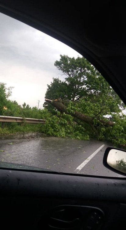 Градушка по магисрала "Тракия", паднали дървета затвориха пътя Нова Загора - Раднево - ВИДЕО