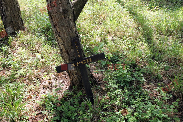 гробове на животни в парк „Пеньо Пенев“