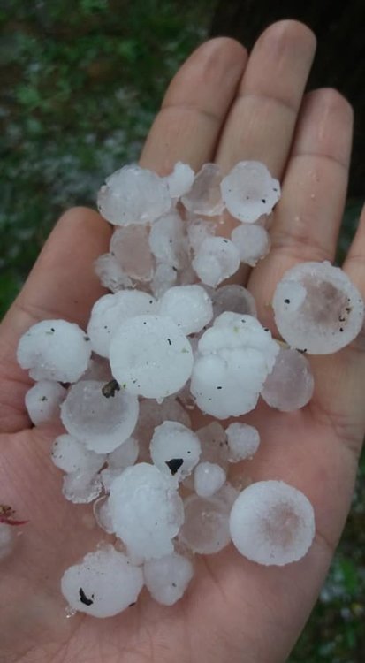 Градушка по магисрала "Тракия", паднали дървета затвориха пътя Нова Загора - Раднево - ВИДЕО