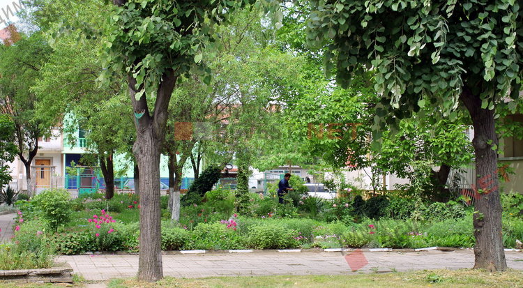 За добрия пример на димитровградчани. Баба Тонка: отгледахме я като дете, вече е на 19 години 