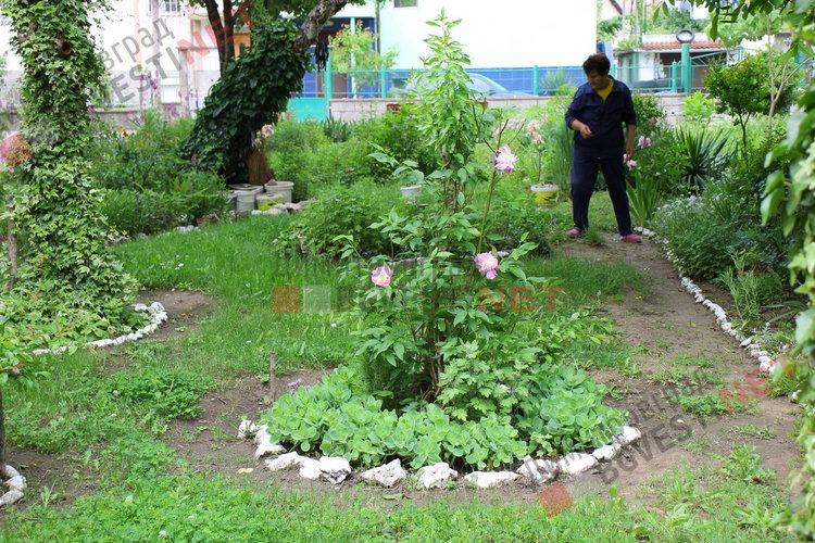 За добрия пример на димитровградчани. Баба Тонка: отгледахме я като дете, вече е на 19 години 