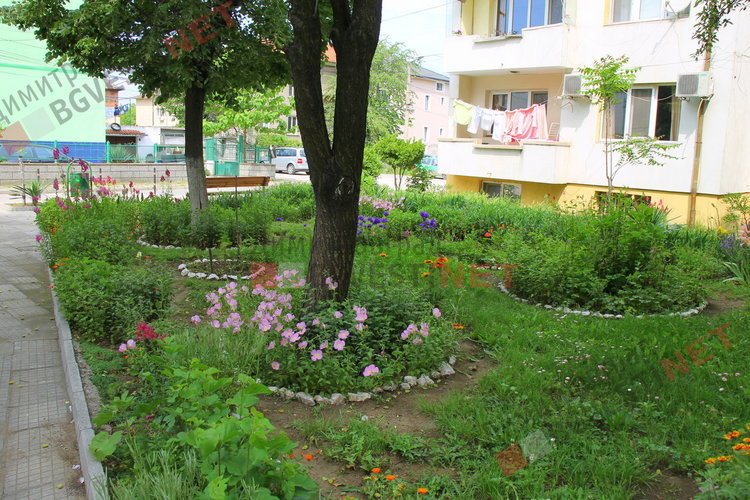 За добрия пример на димитровградчани. Баба Тонка: отгледахме я като дете, вече е на 19 години 