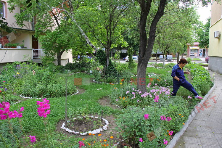 За добрия пример на димитровградчани. Баба Тонка: отгледахме я като дете, вече е на 19 години 