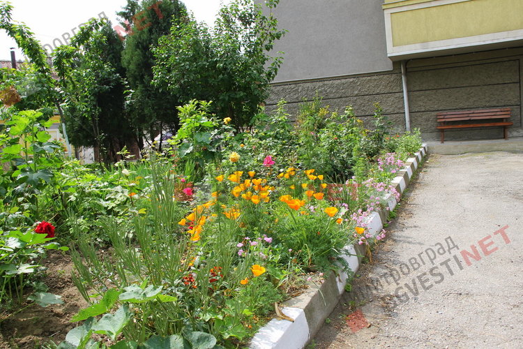 За добрия пример на димитровградчани. Баба Тонка: отгледахме я като дете, вече е на 19 години 
