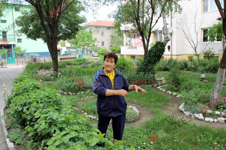 За добрия пример на димитровградчани. Баба Тонка: отгледахме я като дете, вече е на 19 години 