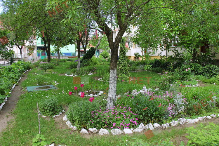 За добрия пример на димитровградчани. Баба Тонка: отгледахме я като дете, вече е на 19 години 