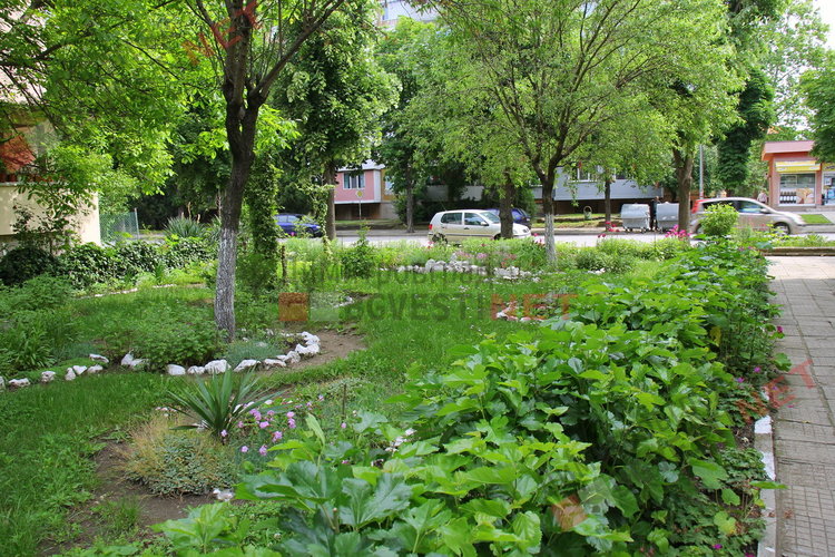 За добрия пример на димитровградчани. Баба Тонка: отгледахме я като дете, вече е на 19 години 