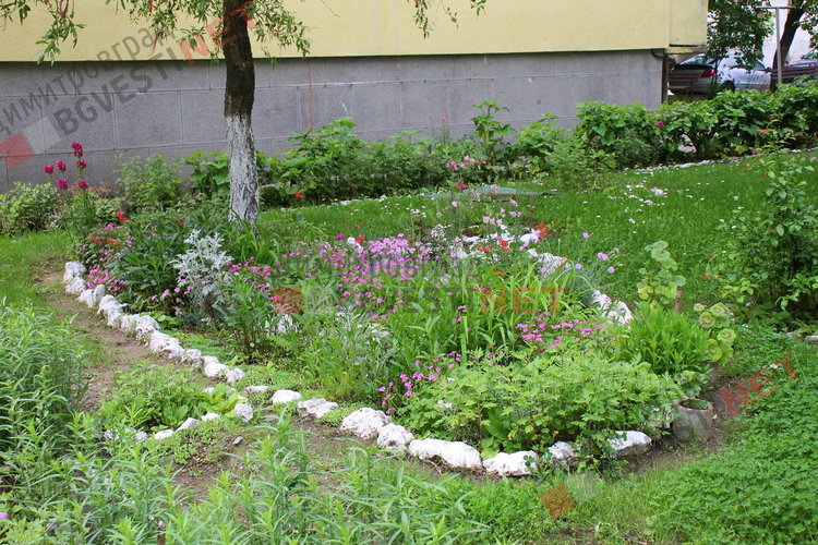 За добрия пример на димитровградчани. Баба Тонка: отгледахме я като дете, вече е на 19 години 