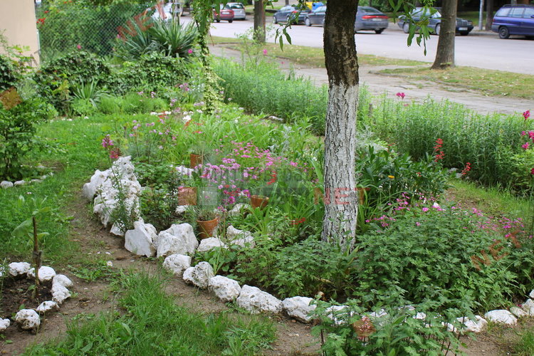За добрия пример на димитровградчани. Баба Тонка: отгледахме я като дете, вече е на 19 години 