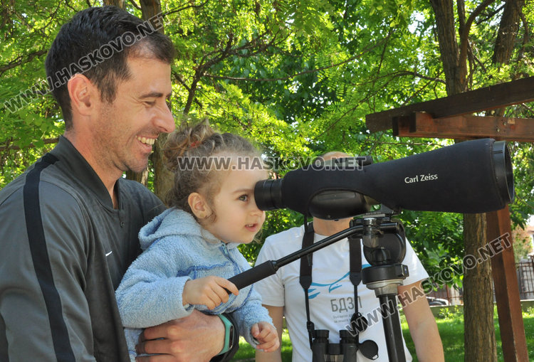 Преброиха врабчетата в Градската градина в Хасково