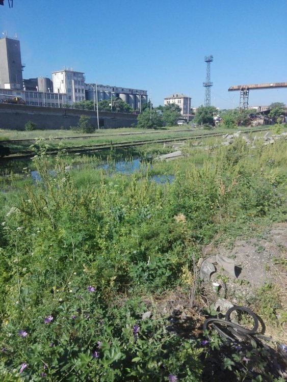 Хасколия се жалва от извираща от шахта вода до Сточна гара