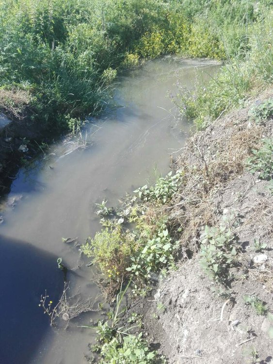 Хасколия се жалва от извираща от шахта вода до Сточна гара