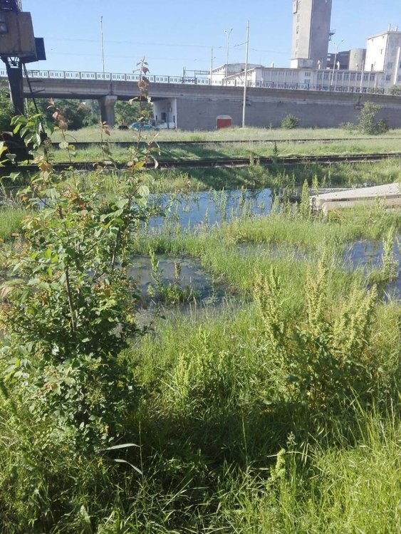 Хасколия се жалва от извираща от шахта вода до Сточна гара